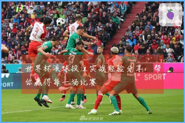 世界杯滚球投注实战经验分享，帮你赢得每一场比赛