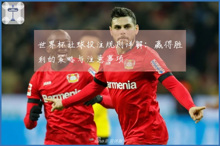 世界杯让球投注规则详解：赢得胜利的策略与注意事项